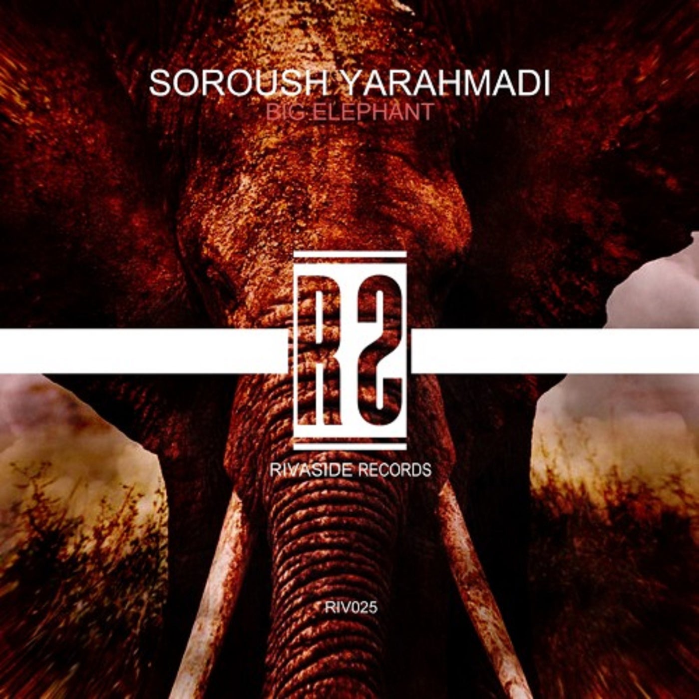 Big Elephant