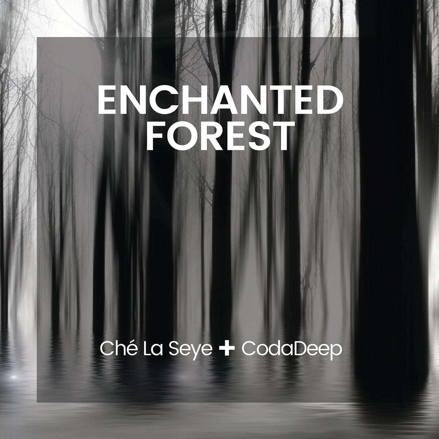 Enchanted Forest