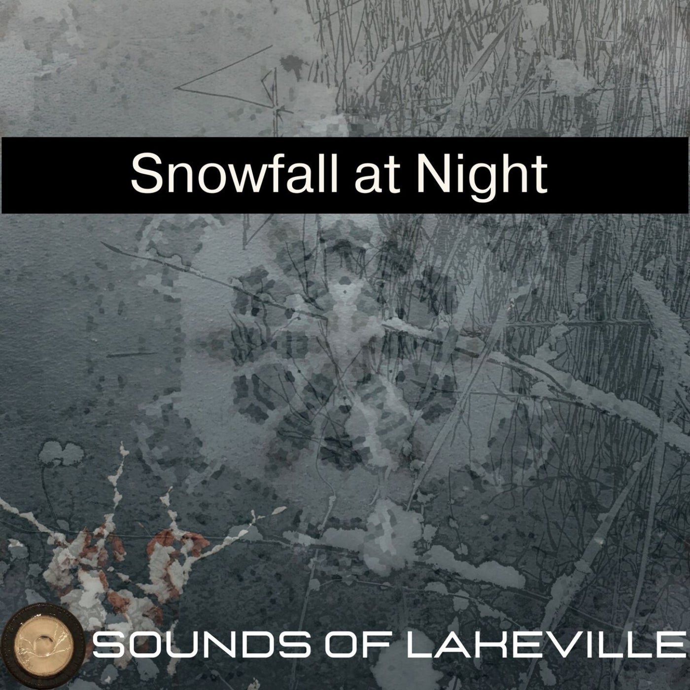 Snowfall at Night