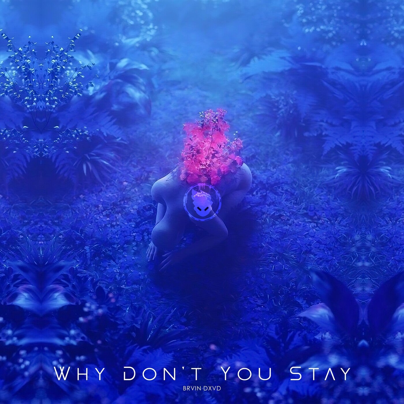 Why Dont You Stay