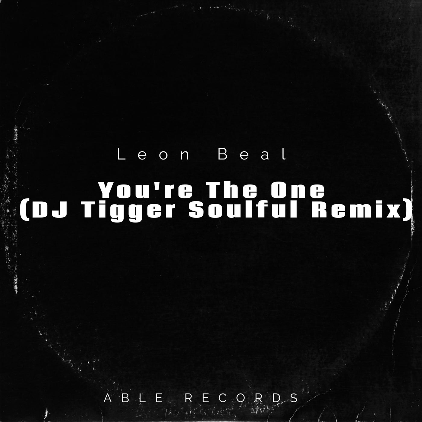 You're The One (DJ Tigger Remix)