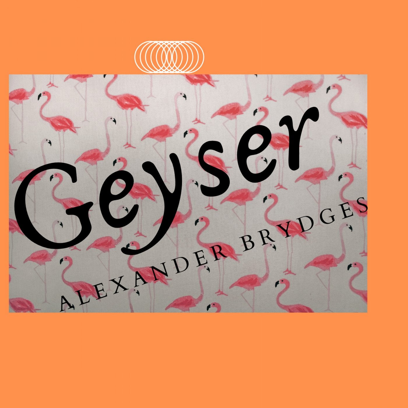 Geyser