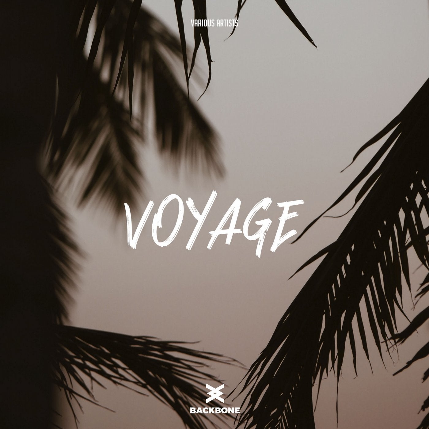 Voyage