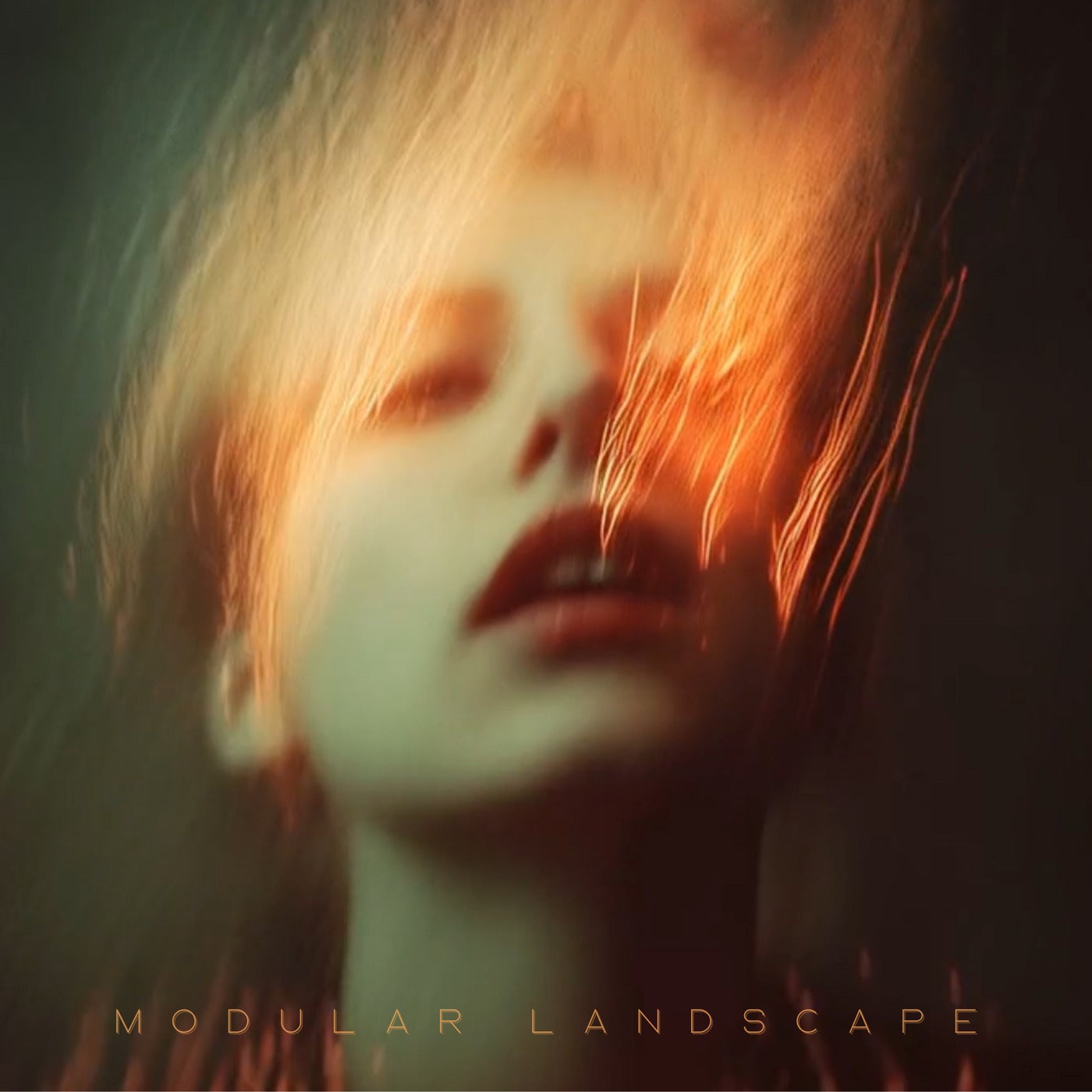 Modular Landscape