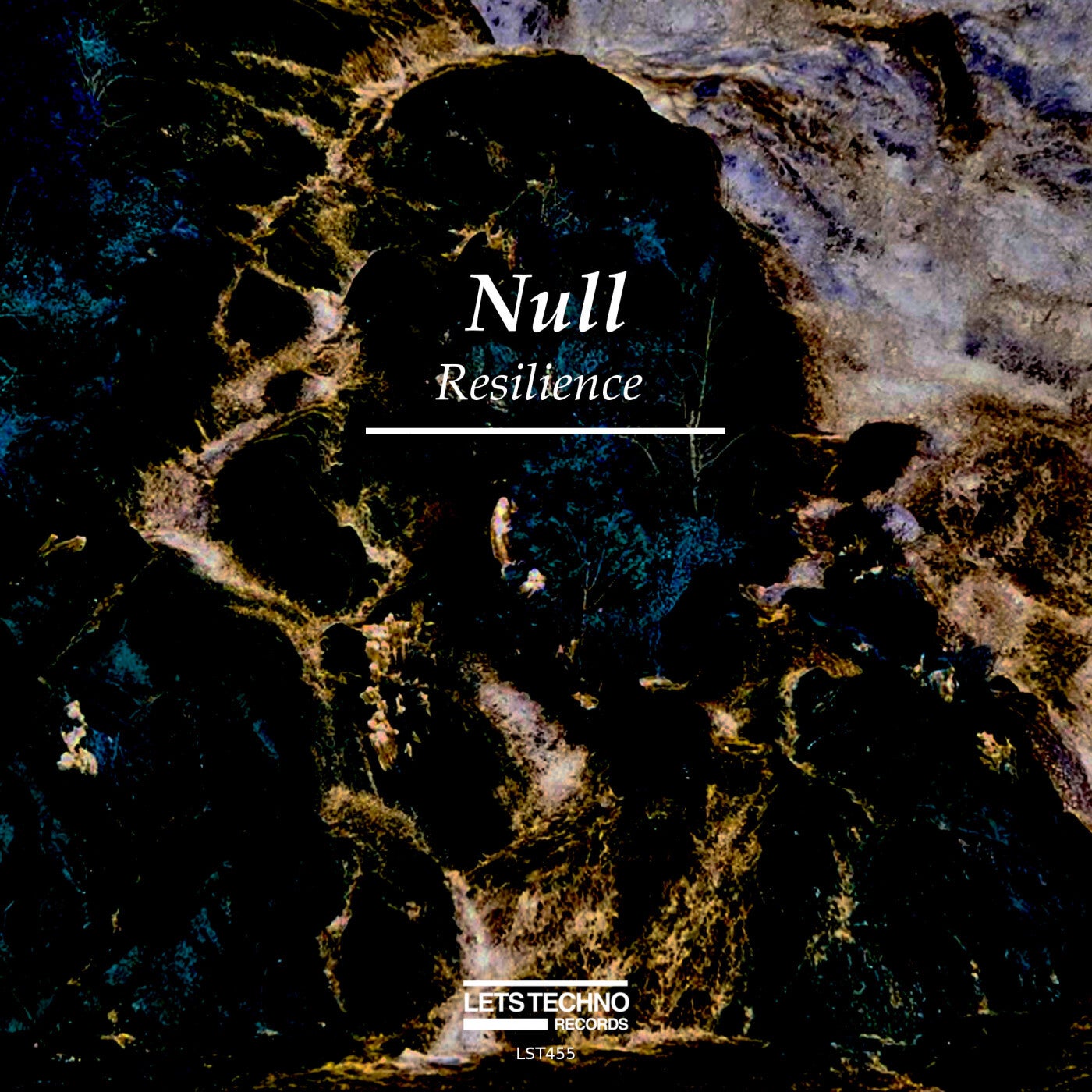 Resilience