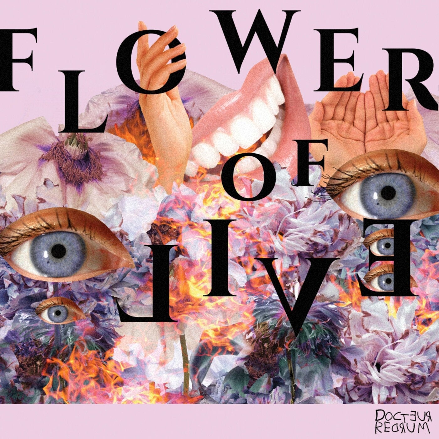 Flower of Evil