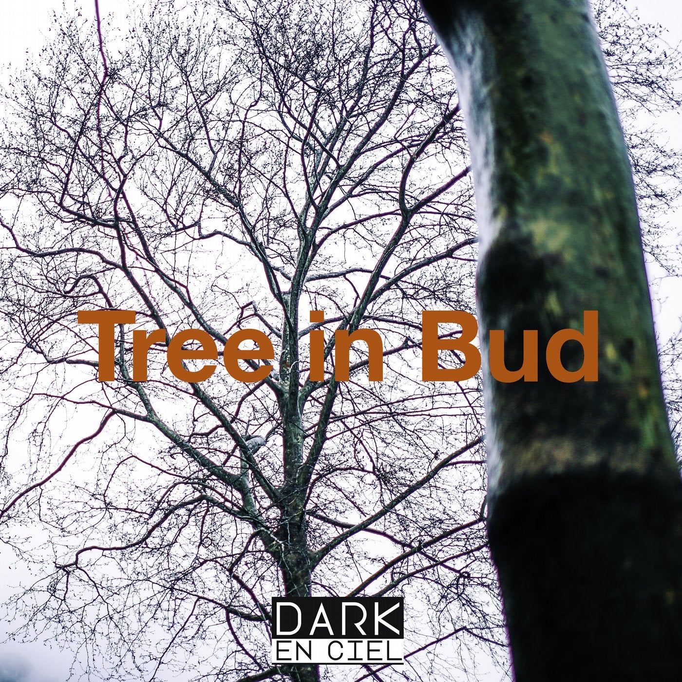 Tree In Bud