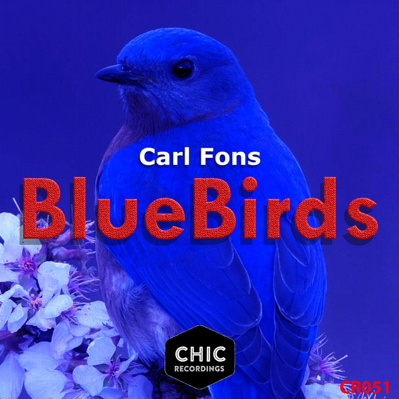 Blue Birds