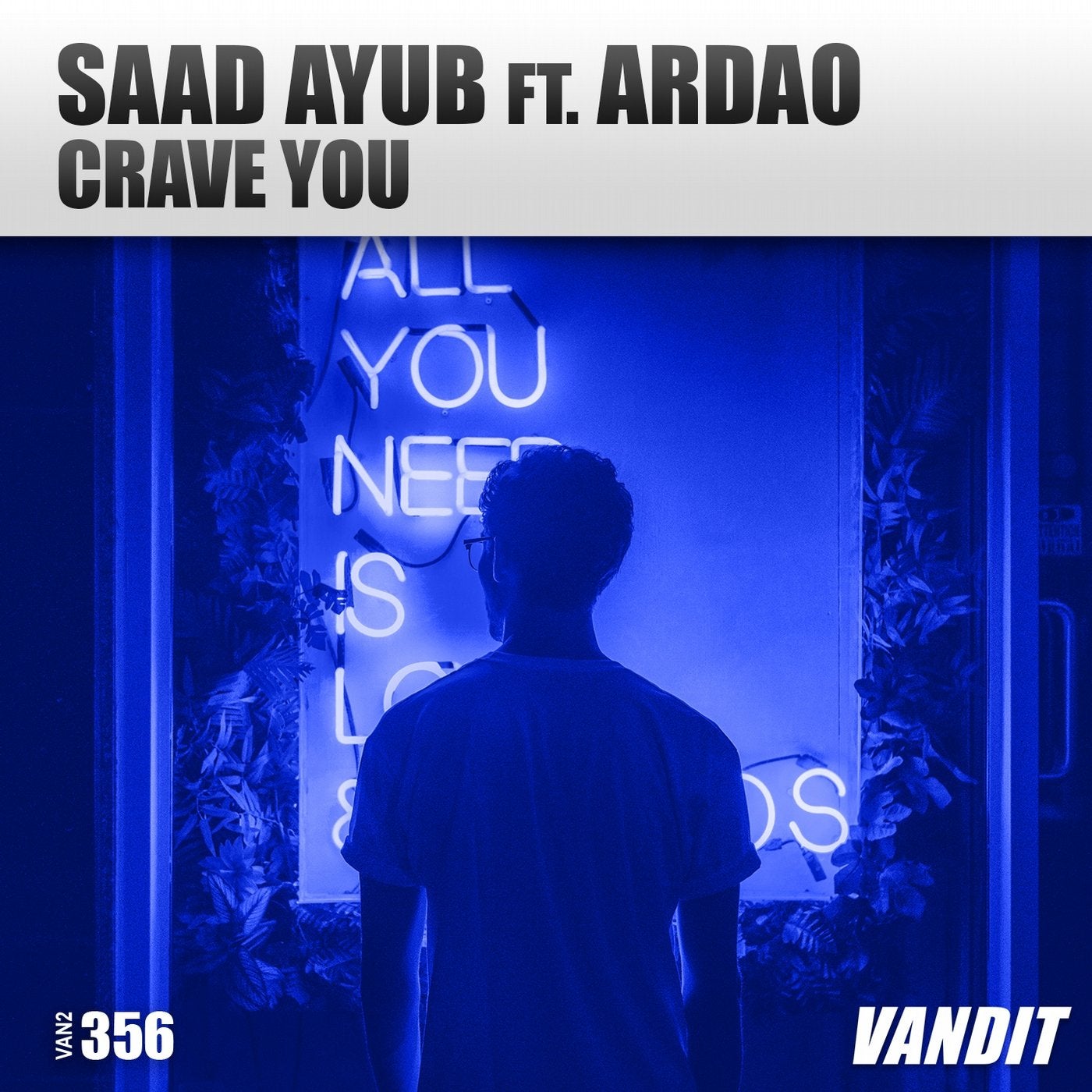 Crave You (feat. Ardao) [Extended]