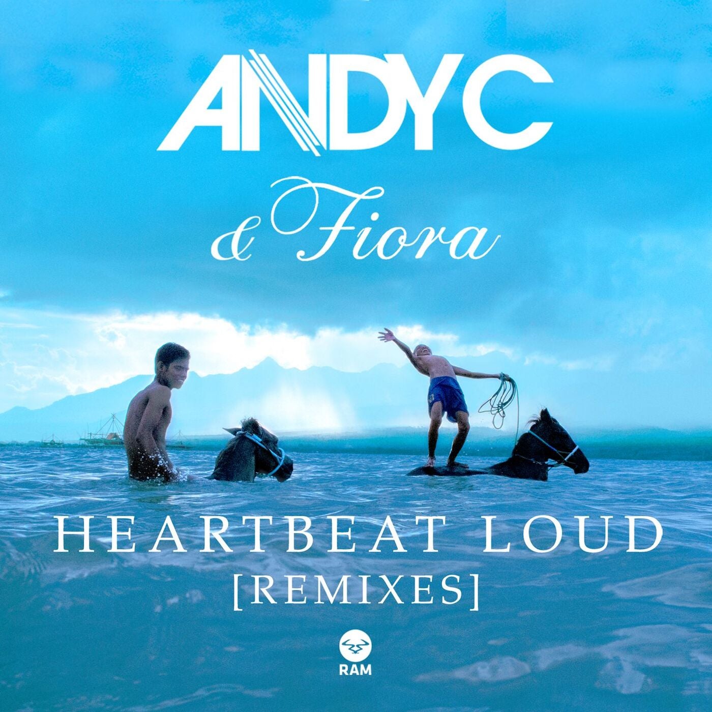 Andy C & Fiora - Heartbeat Loud (Andy C VIP) album artwork