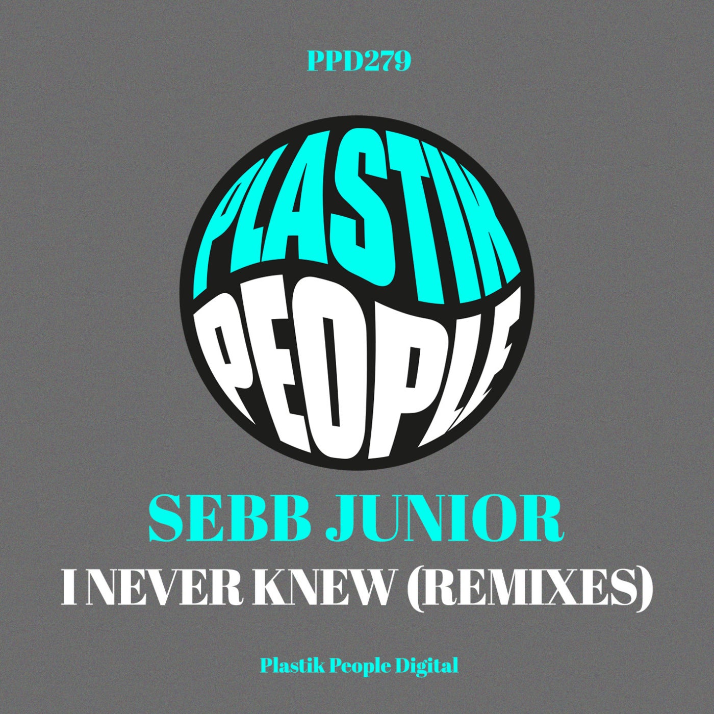 I Never Knew (Remixes)