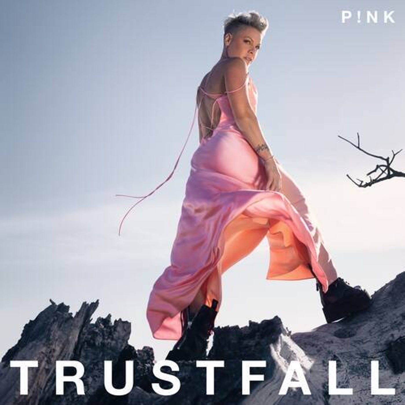 Cover art for TRUSTFALL