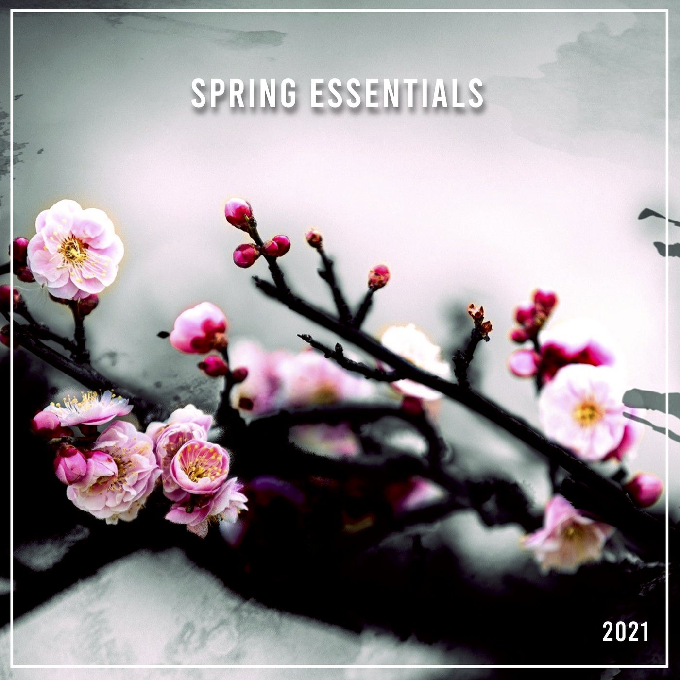 Spring Essentials 2021