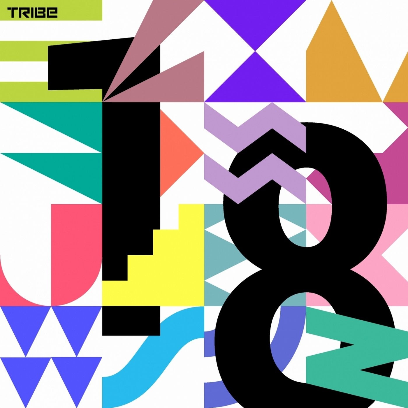 Tribe Records Presents: Tribe Vibe 2018