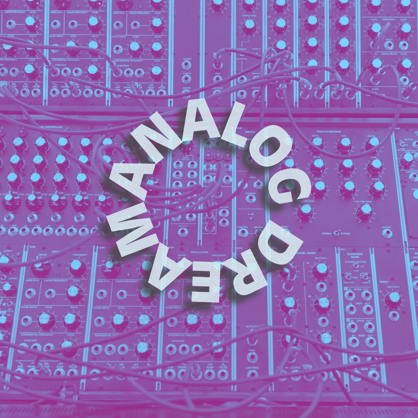 Analog Dream (full of passion)