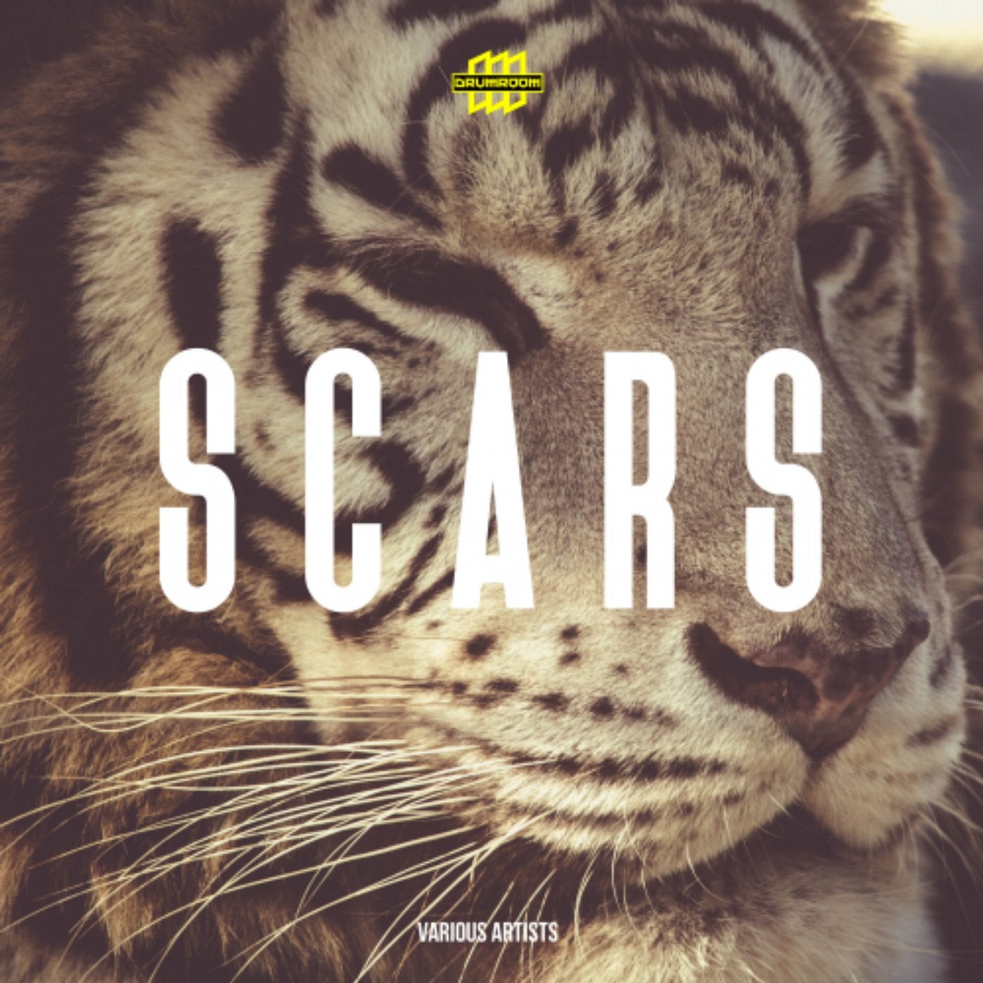 Scars