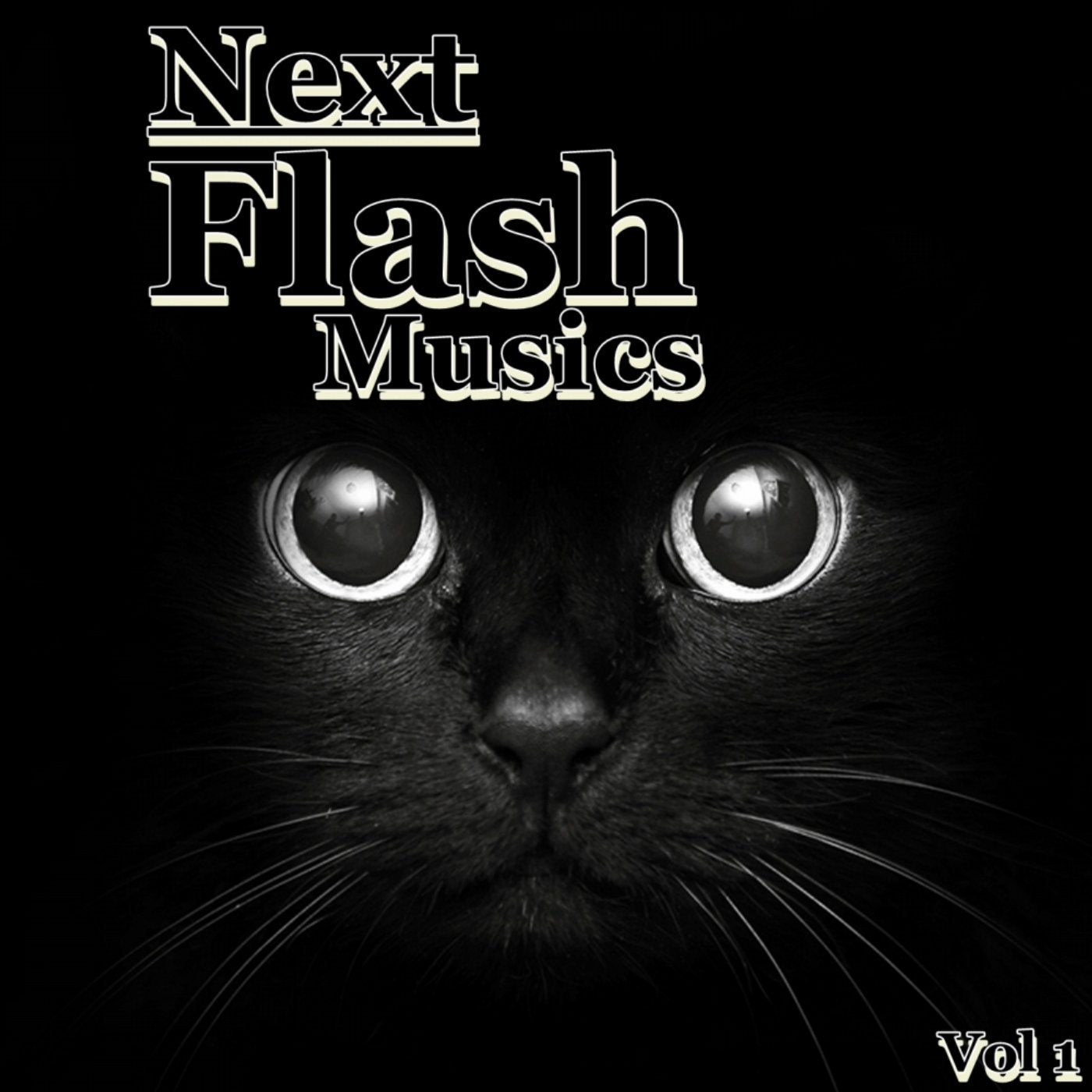 Next Flash Musics, Vol. 1