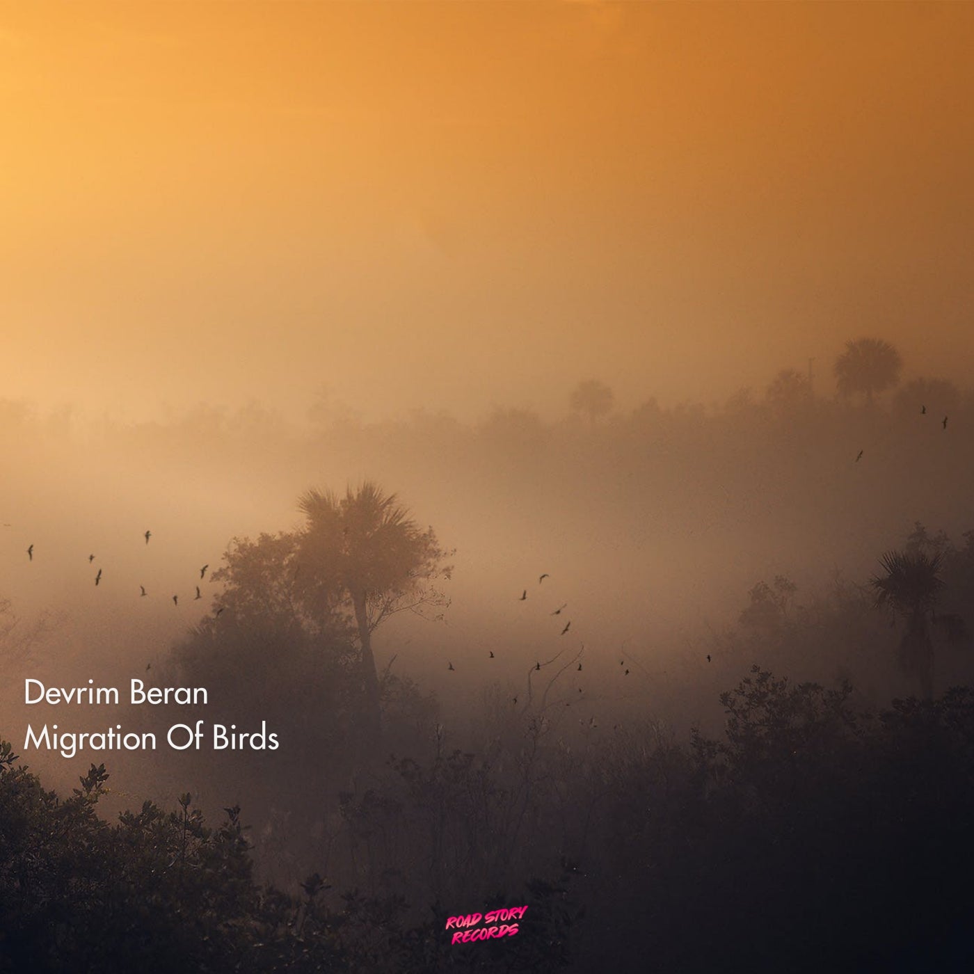 Migration of Birds