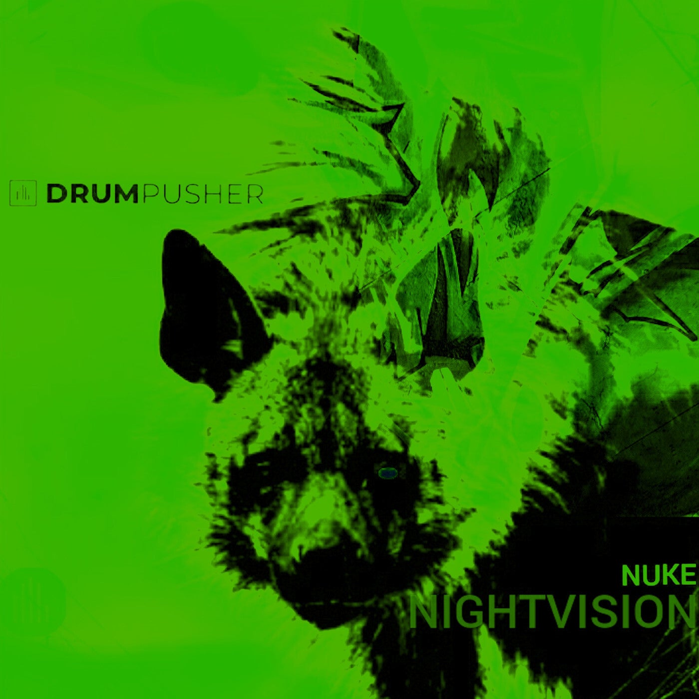Nightvision