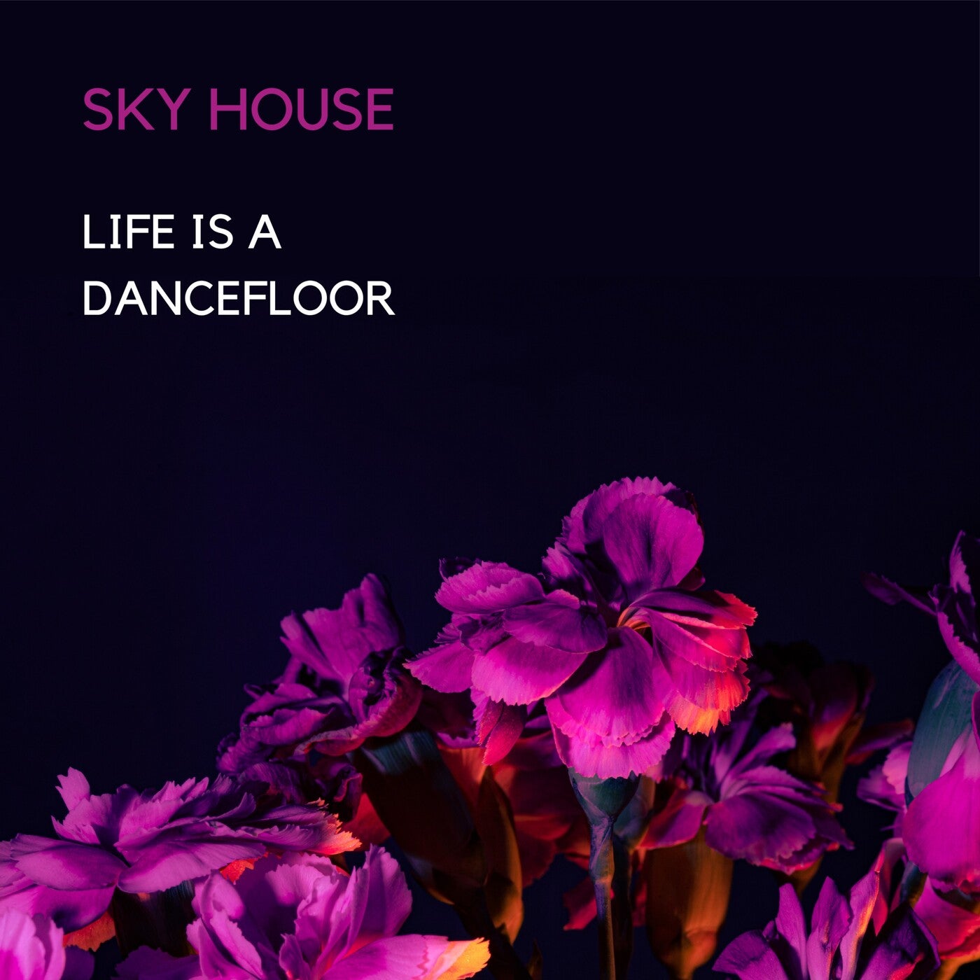 Life Is a Dancefloor