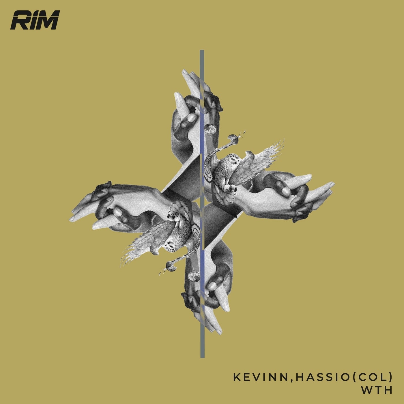 Hassio (COL), Kevinn – WTH RIM121 AIFF Hassio (COL), Kevinn – WTH RIM121 AIFF