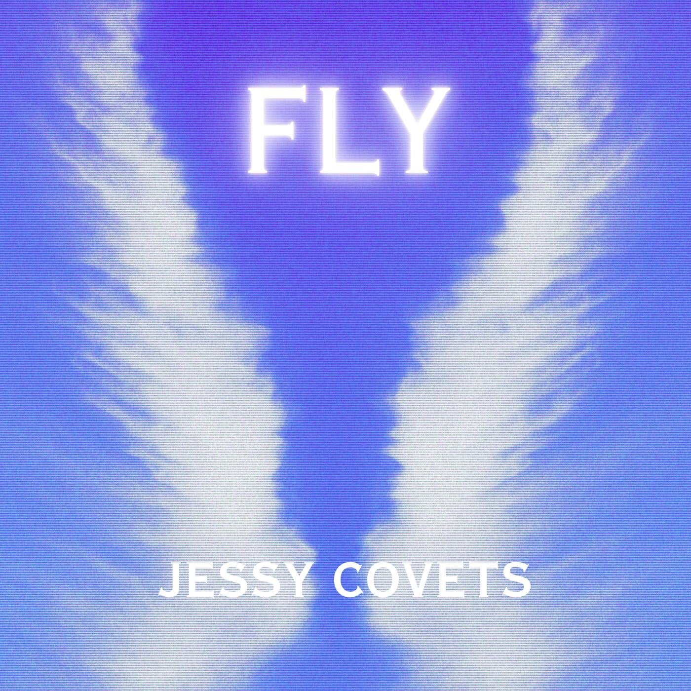 Cover art for FLY