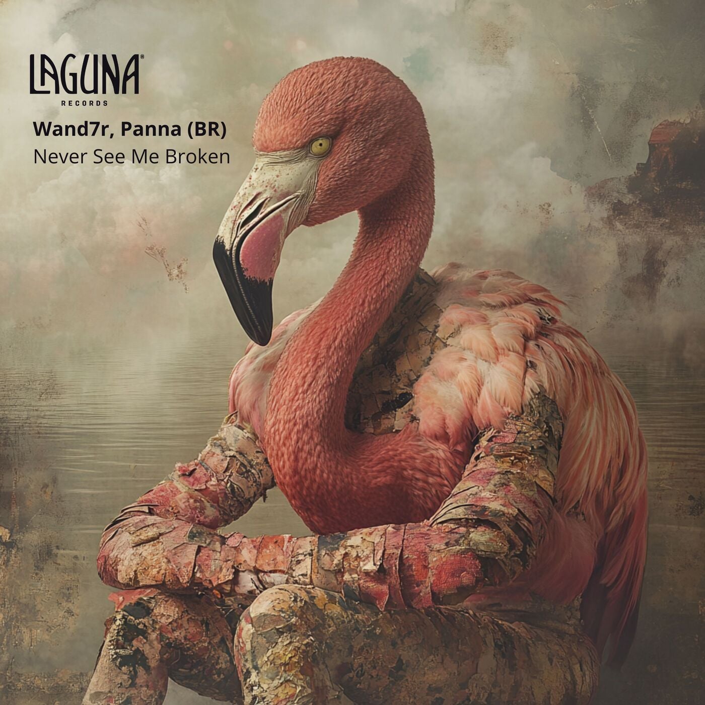 Cover art for Never See Me Broken