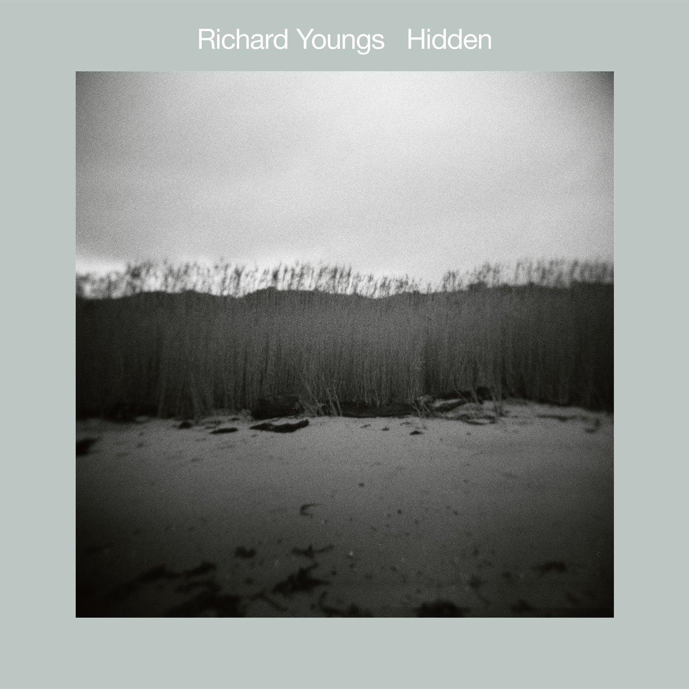 Hidden