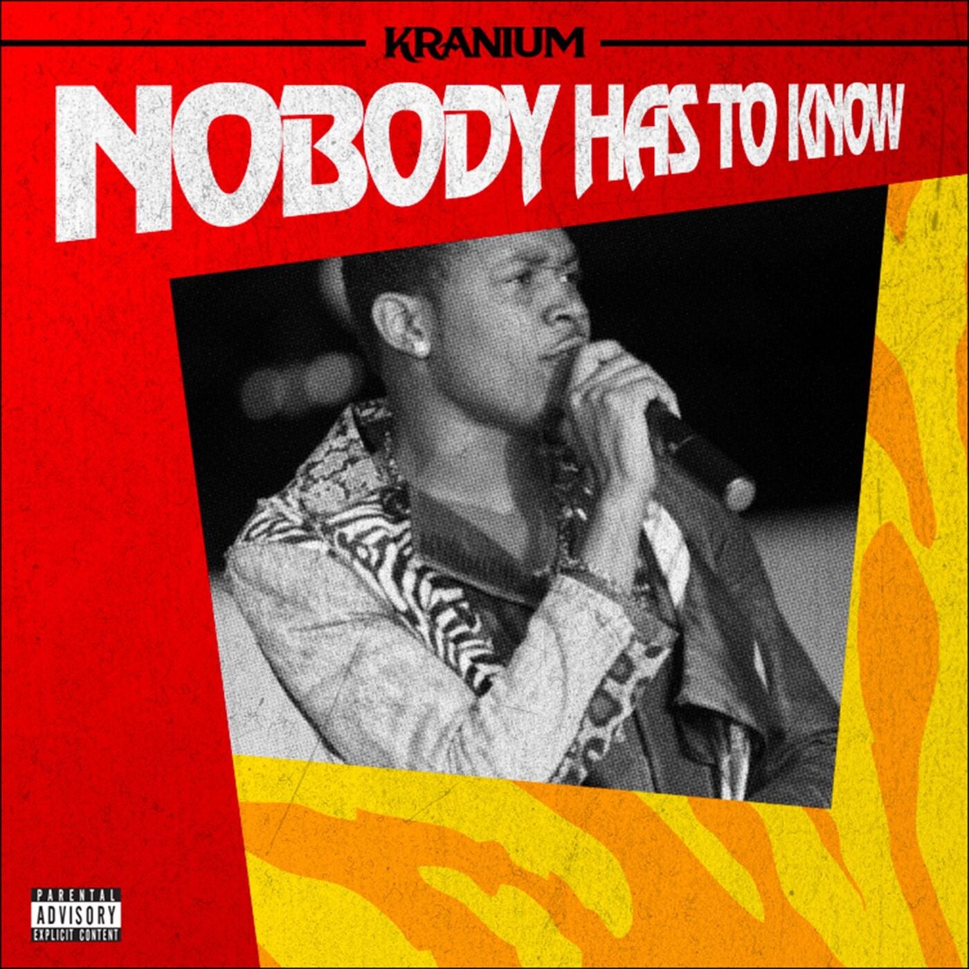 Cover art for Nobody Has to Know
