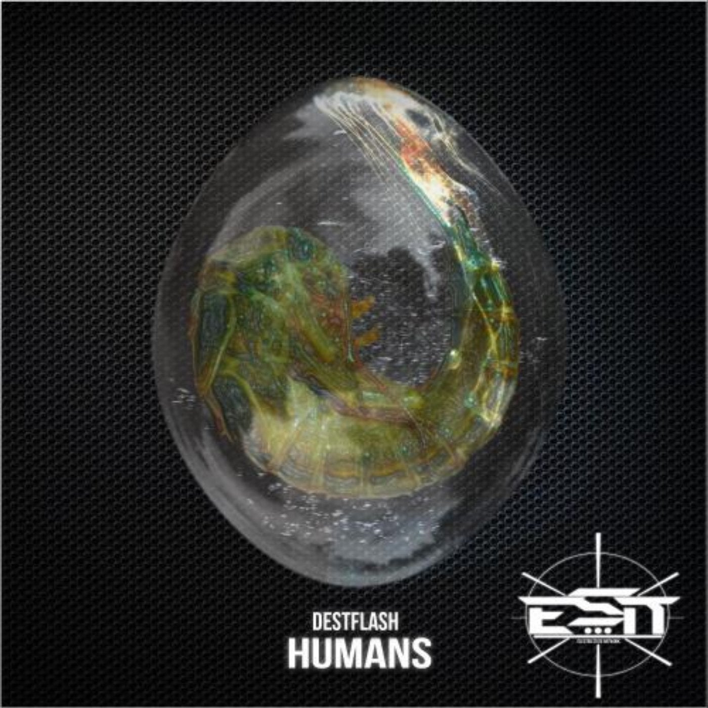 Humans