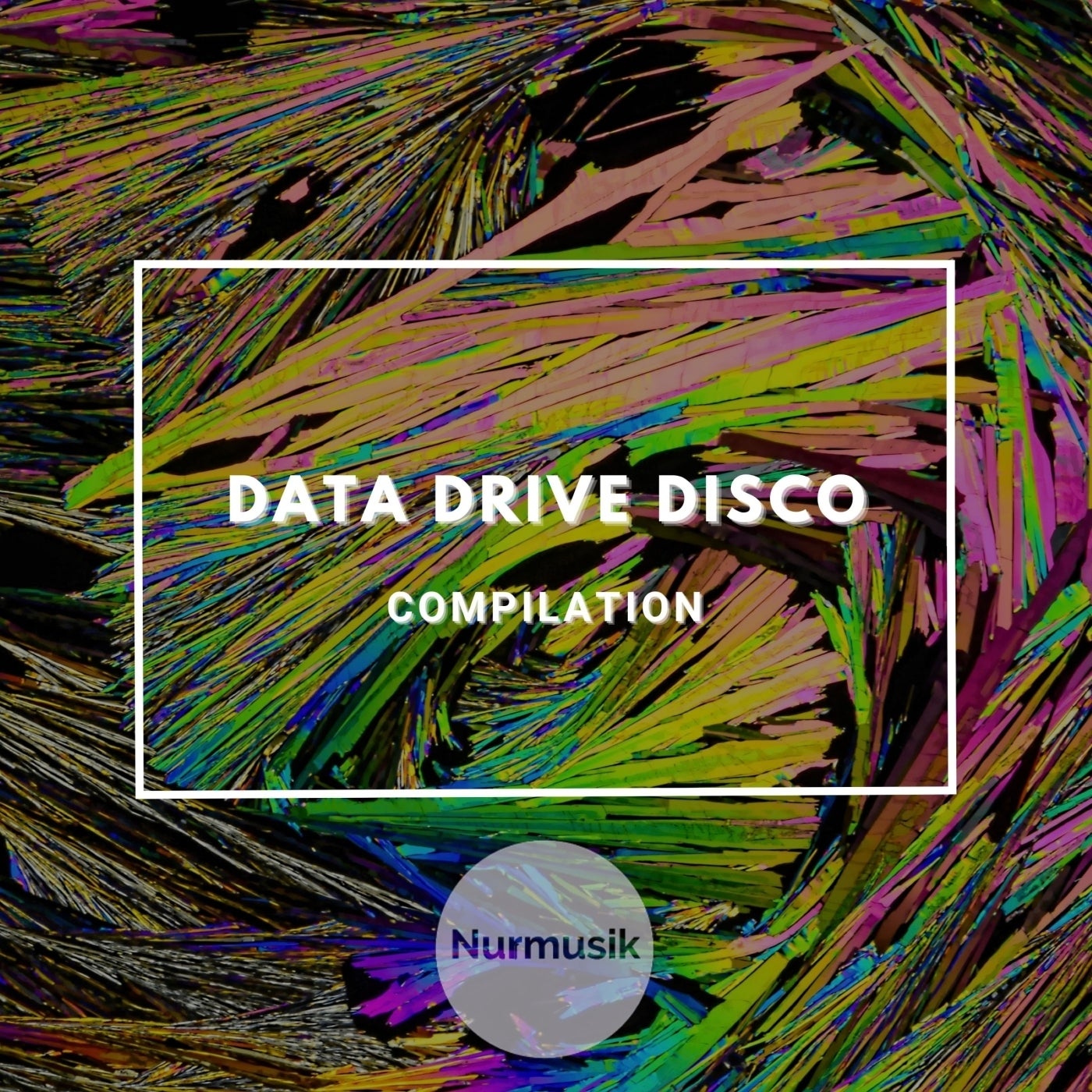 Data Drive Disco