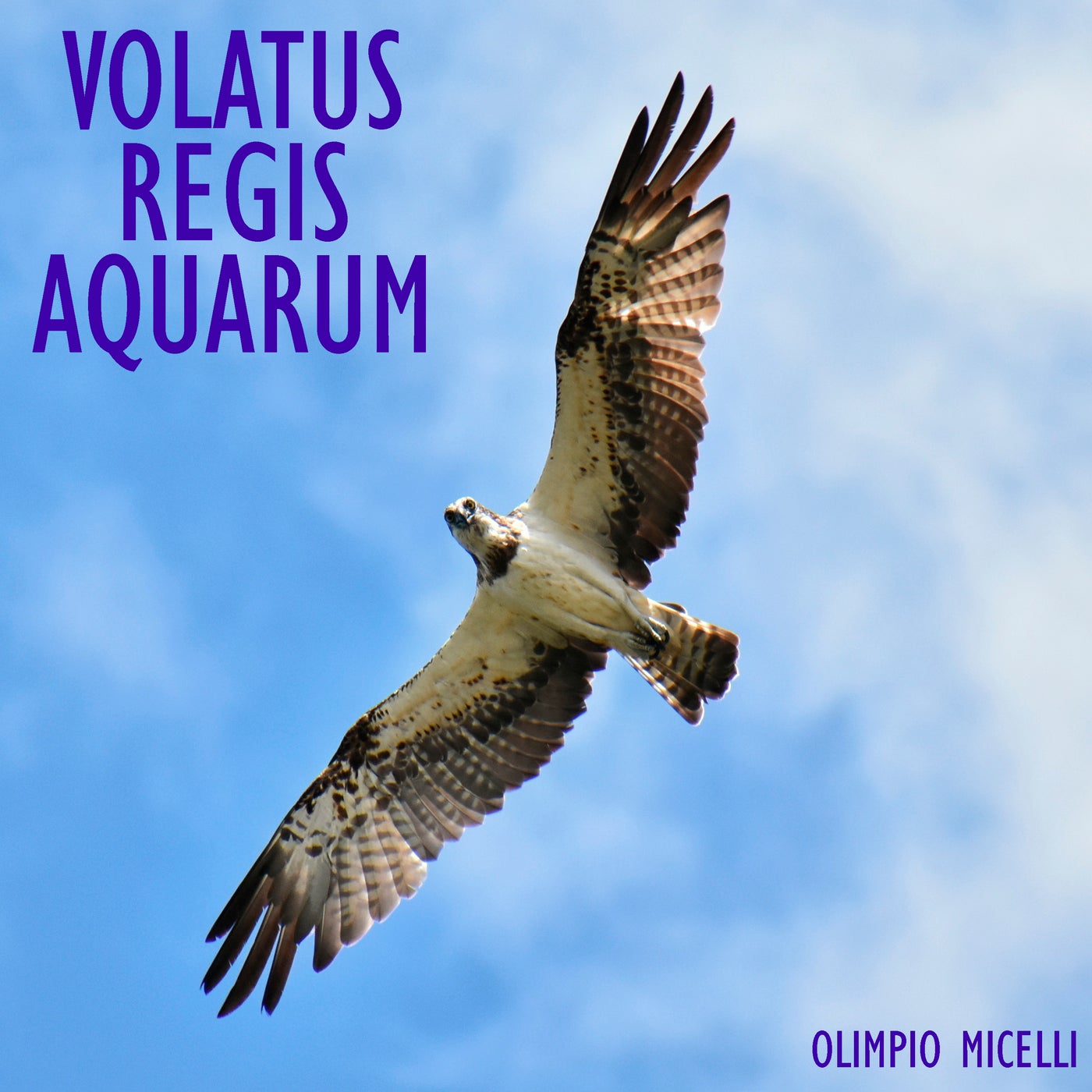 Volatus Regis Aquarum
