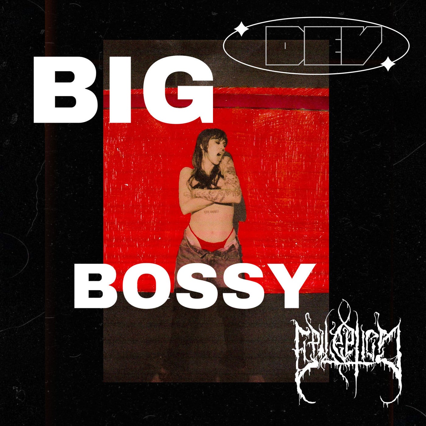 Cover art for Big Bossy (EPILEPTICS Remix)