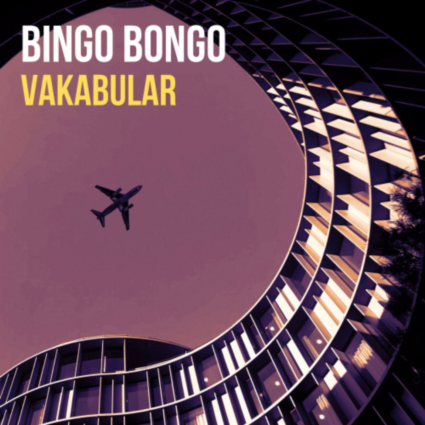 Vakabular over. Vakabular DJ. Vakabular over my Life. Bingo Bongo Envato.