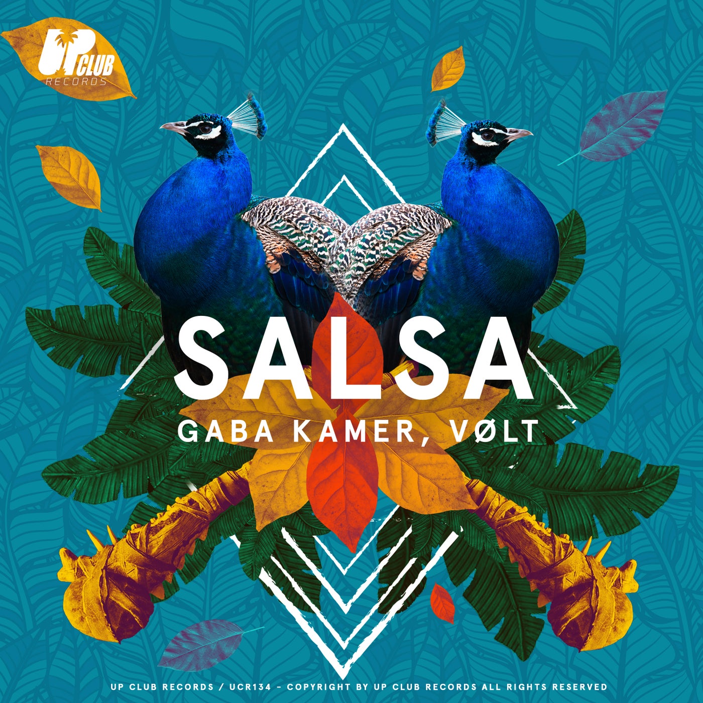Salsa (Extended Mix)