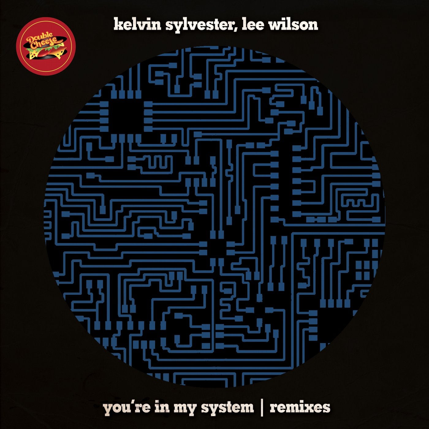 You're In My System (Remixes)