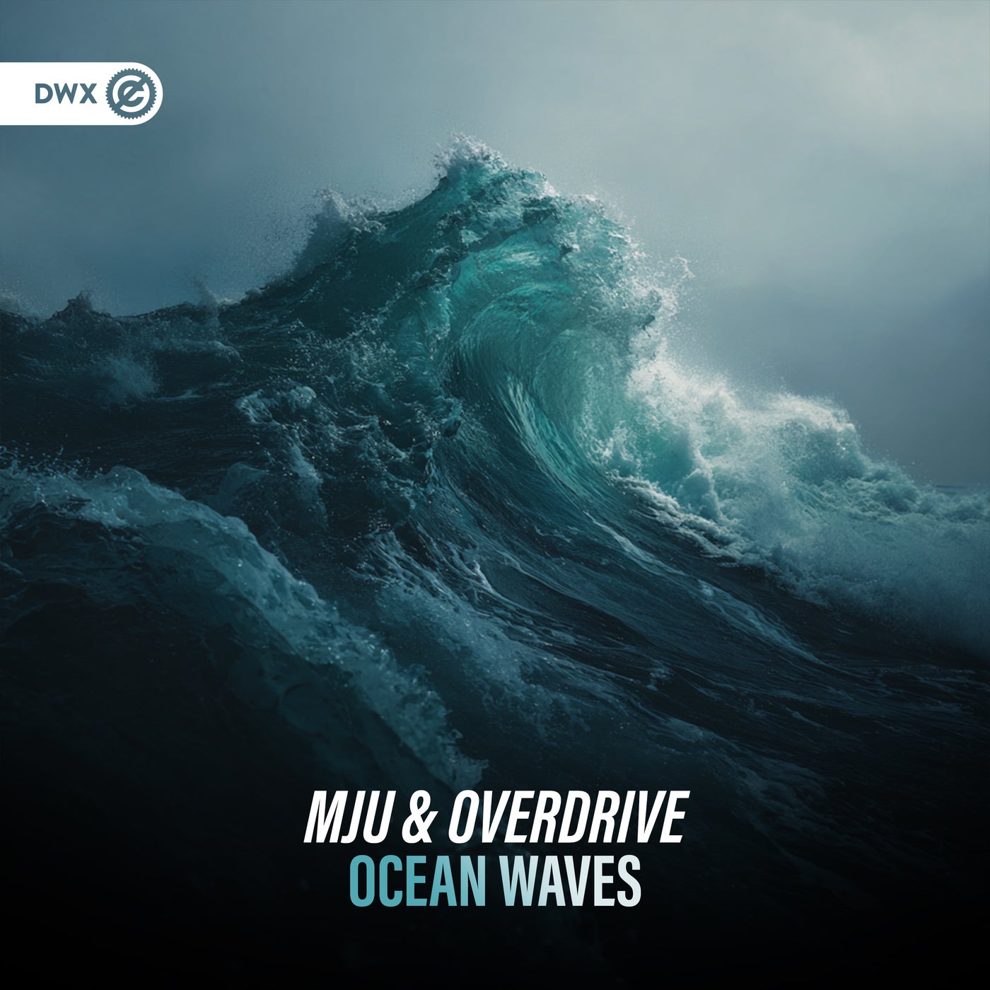 Ocean Waves