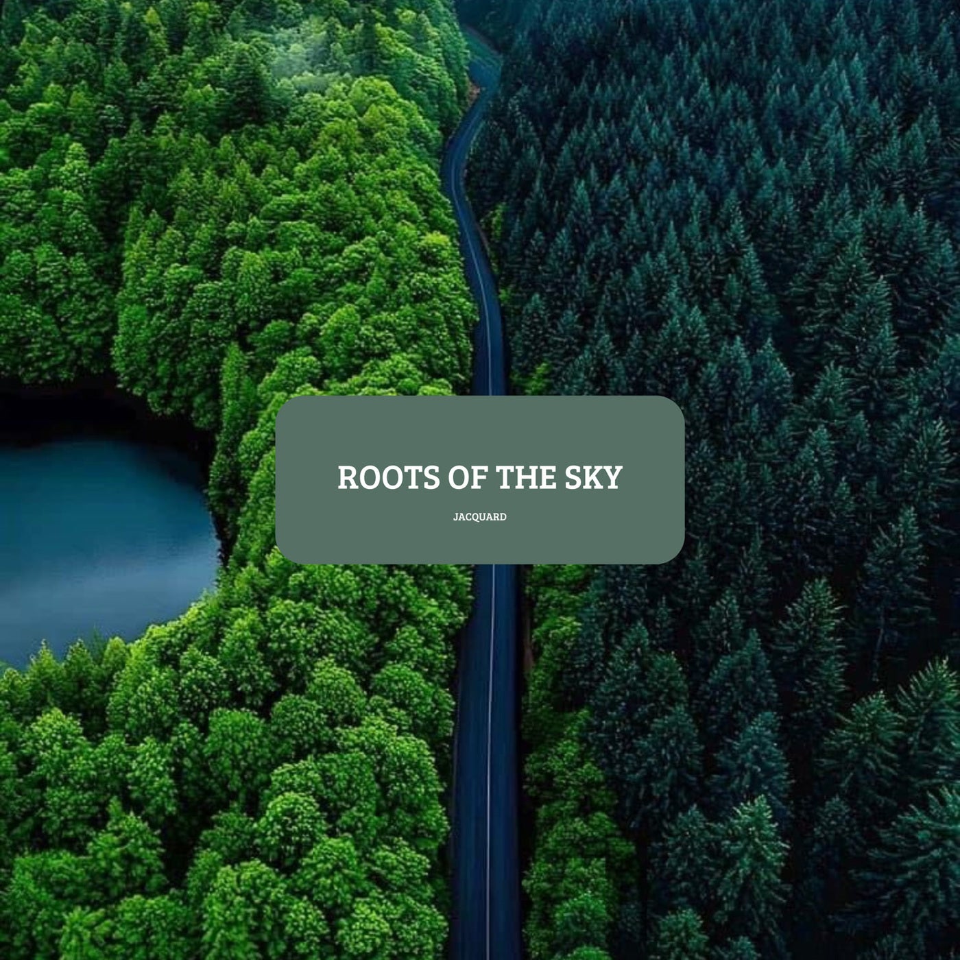 Roots of the Sky