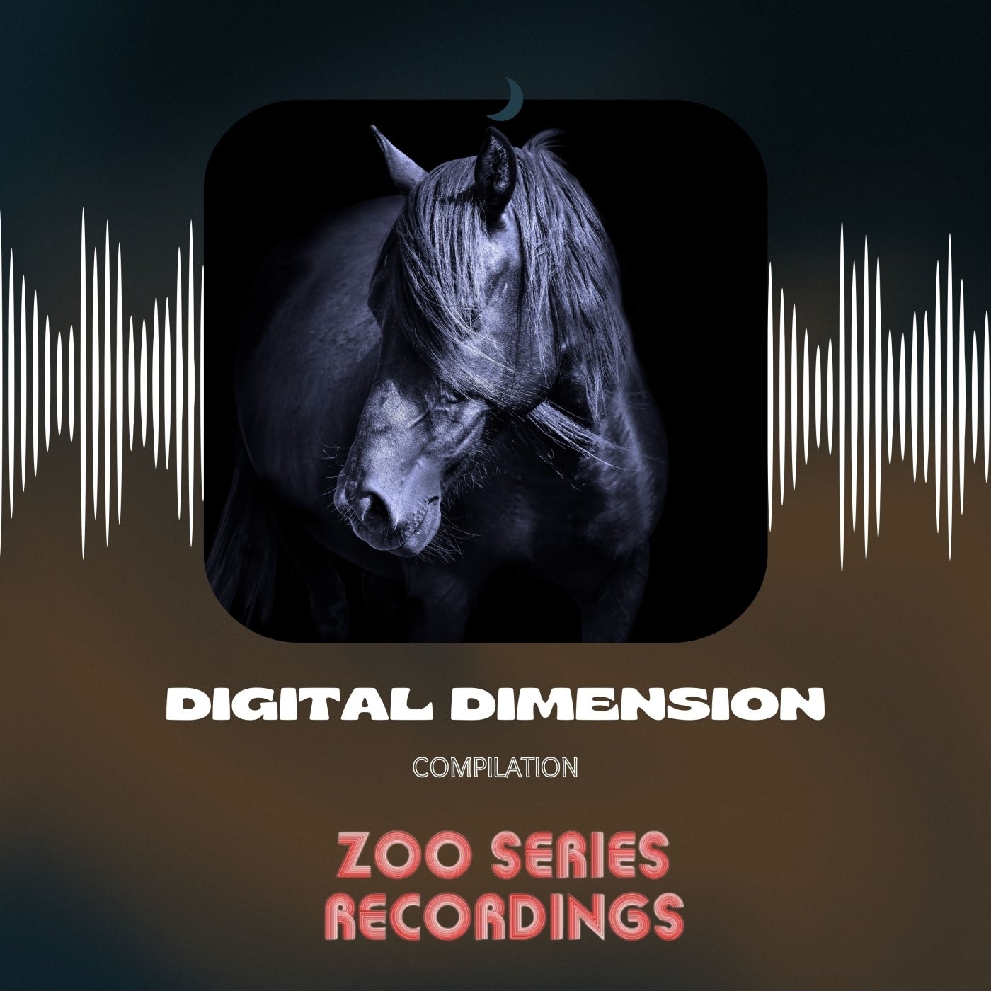 Digital Dimension