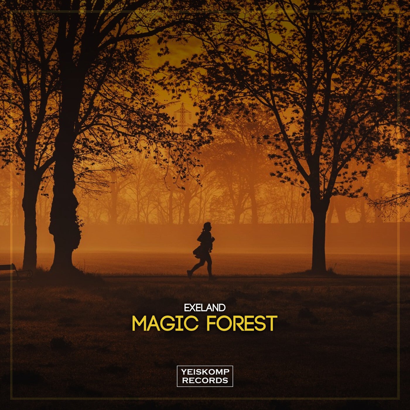 Magic Forest