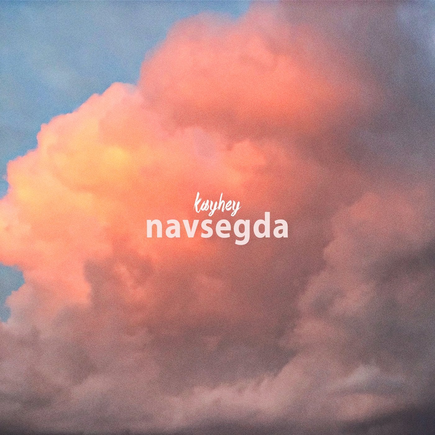 Navsegda