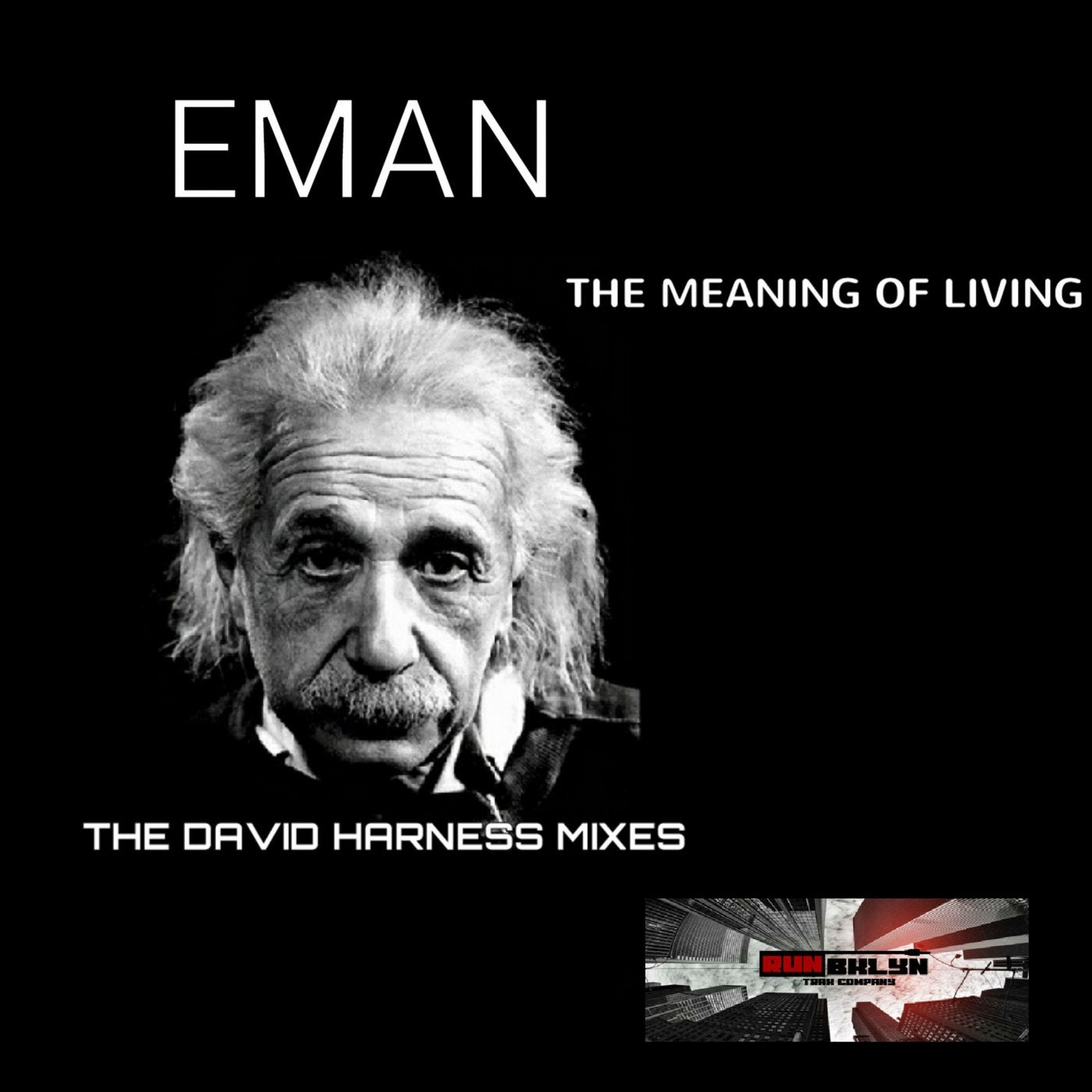The Meaning of Living (David Harness Mixes)