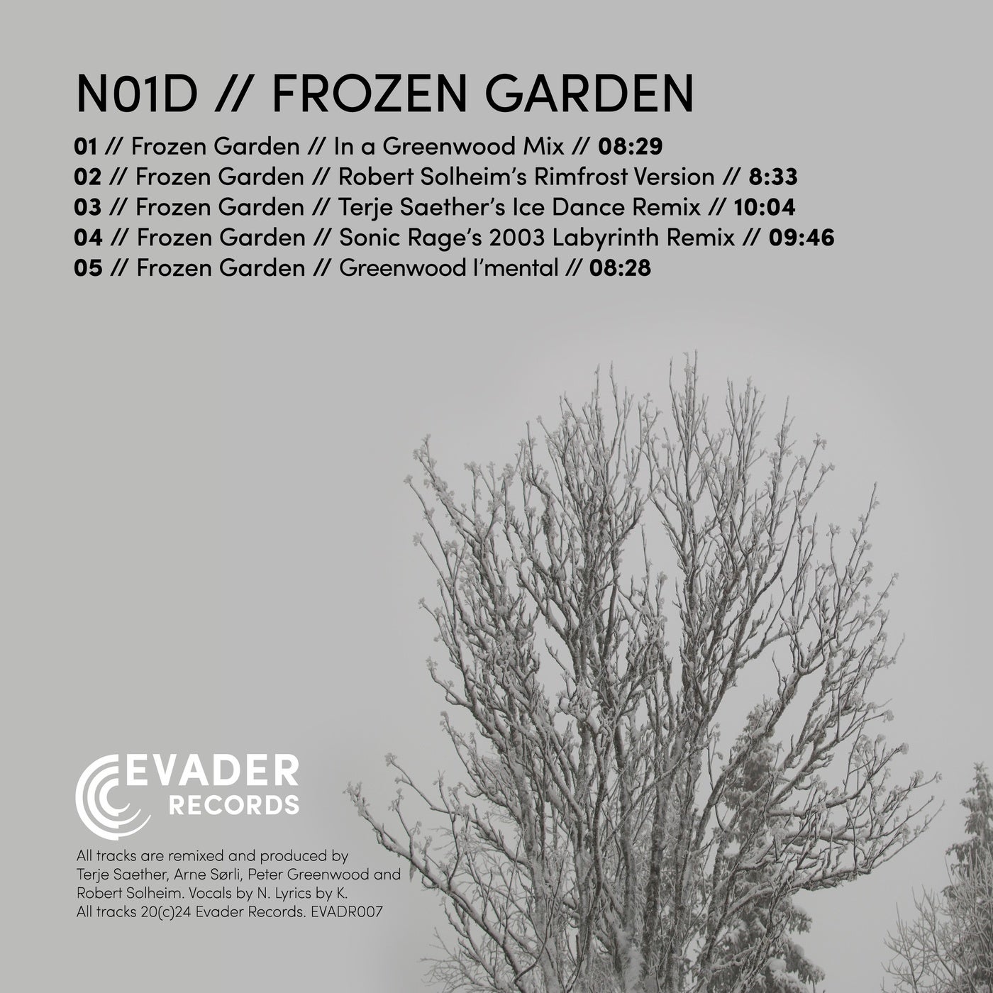 Frozen Garden