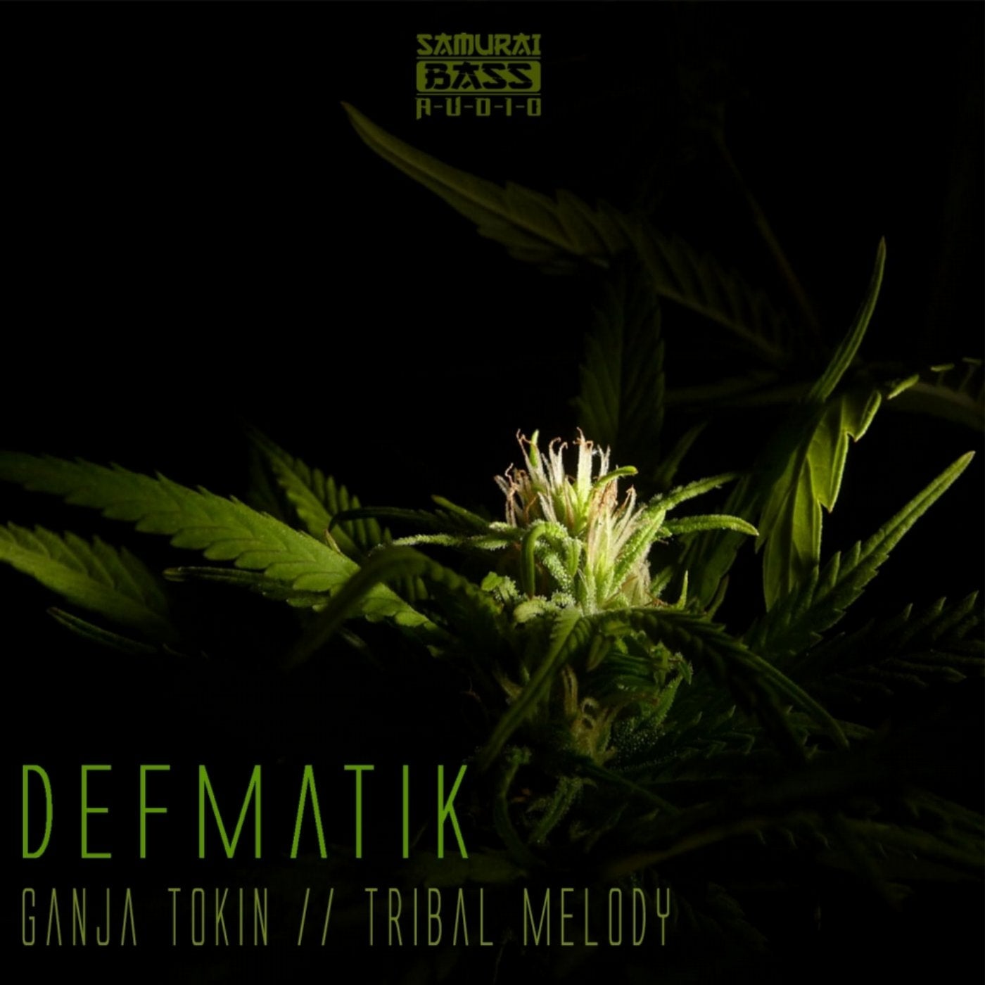 Ganja Tokin / Tribal Melody