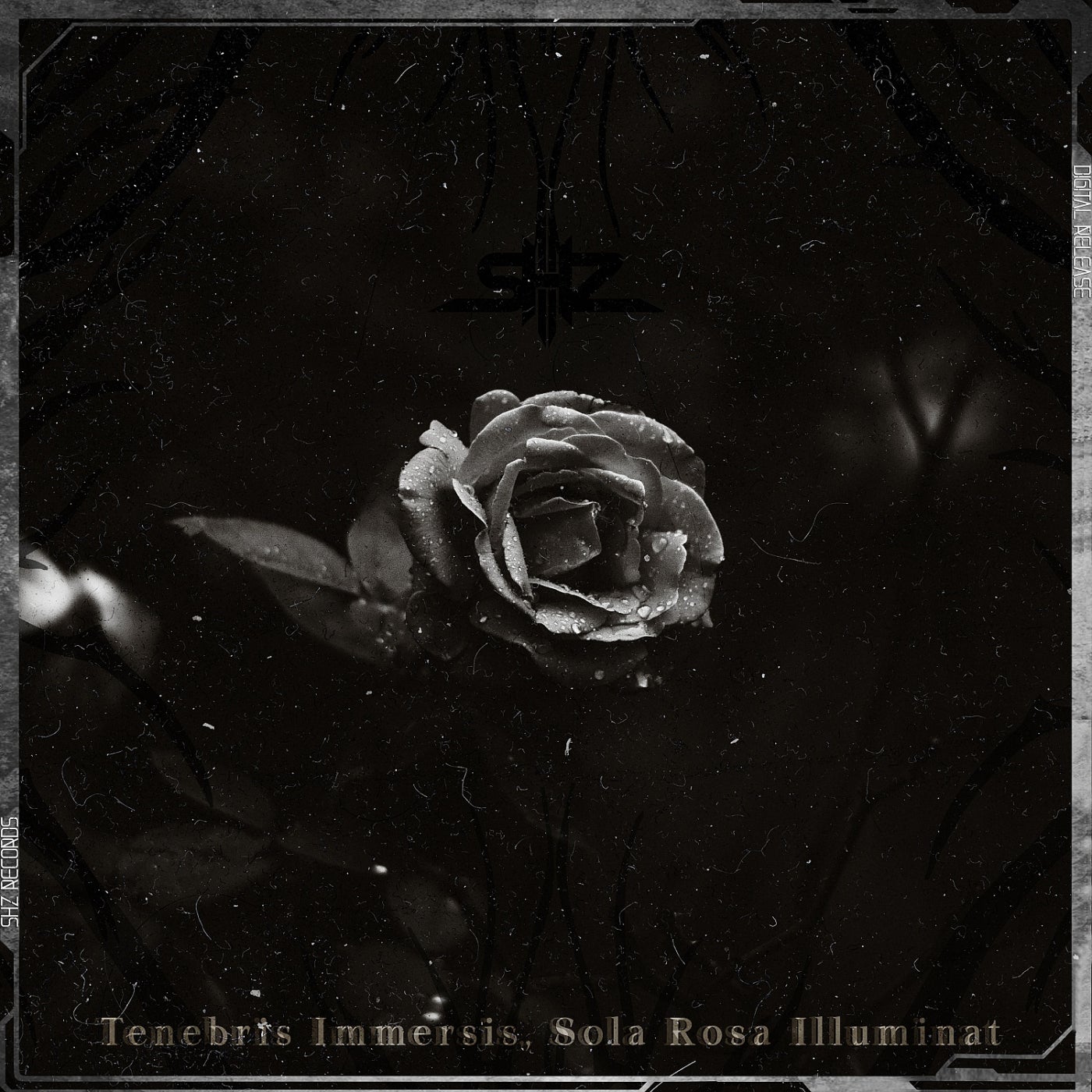 Tenebris Immersis, Sola Rosa Illuminat