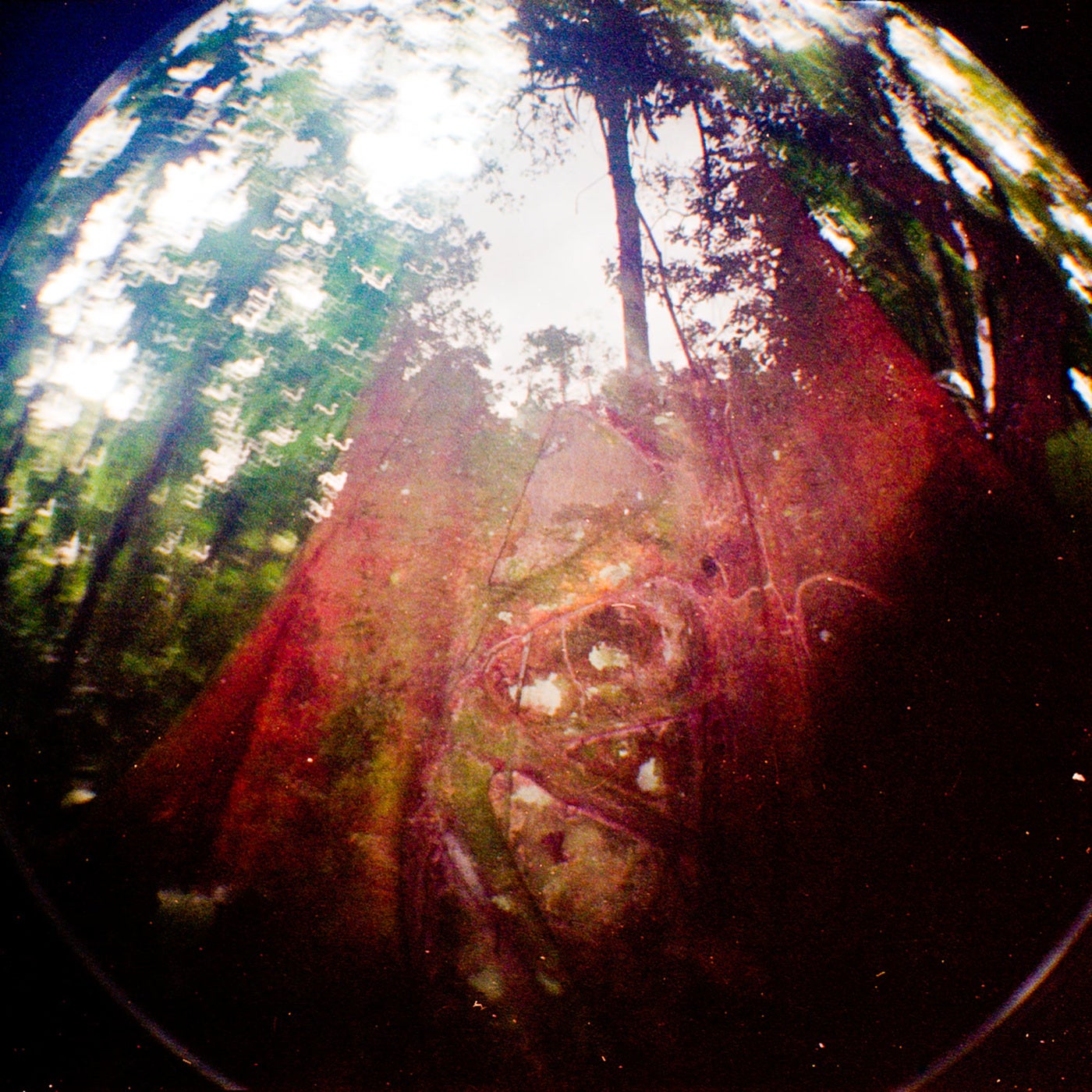 I'll Miss Wherever I'm Not