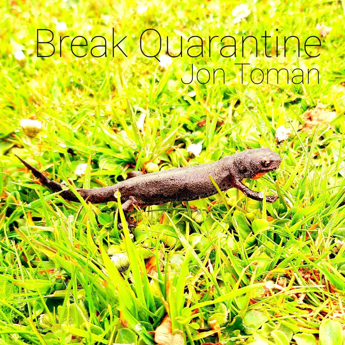 Break Quarantine (Original Mix)