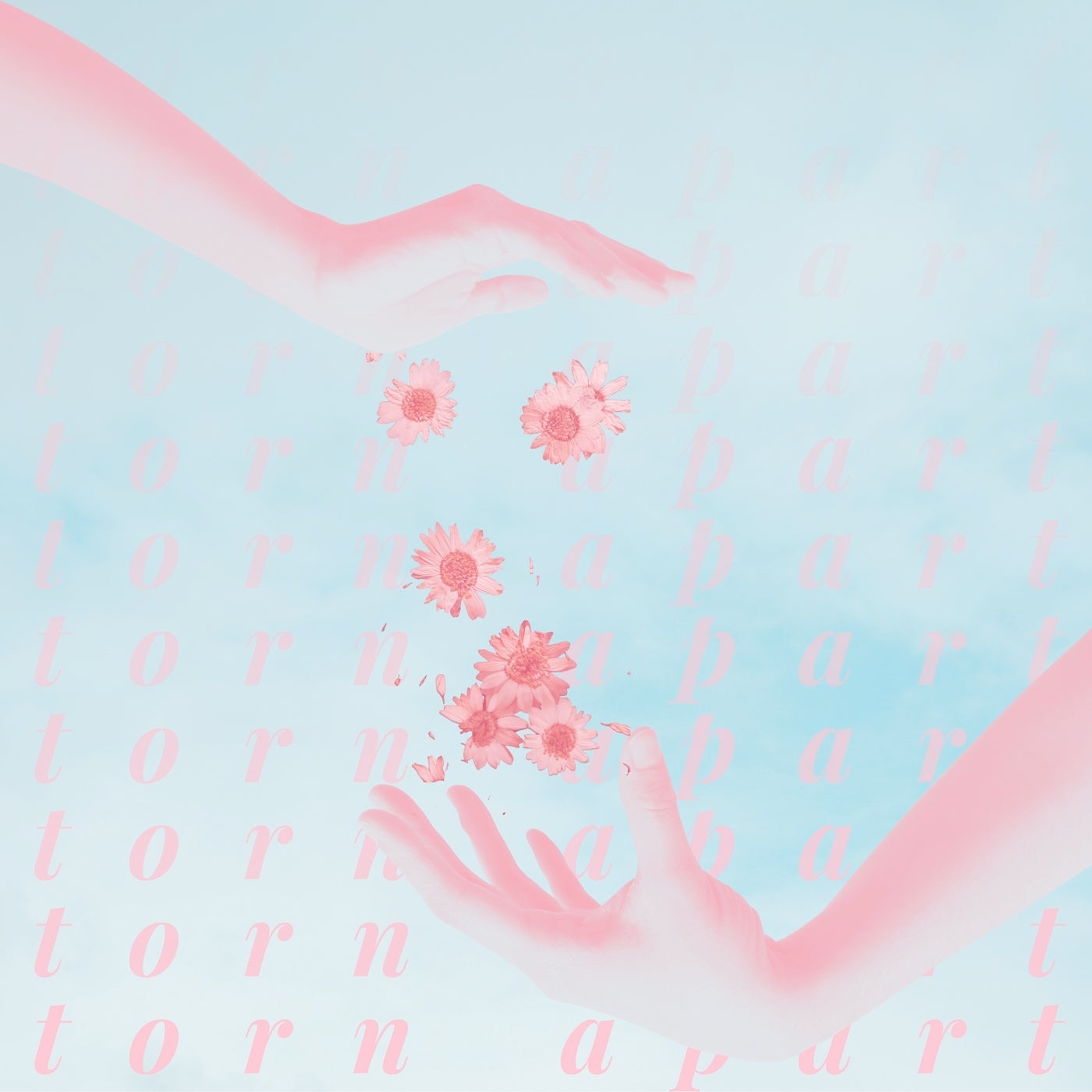 Torn Apart