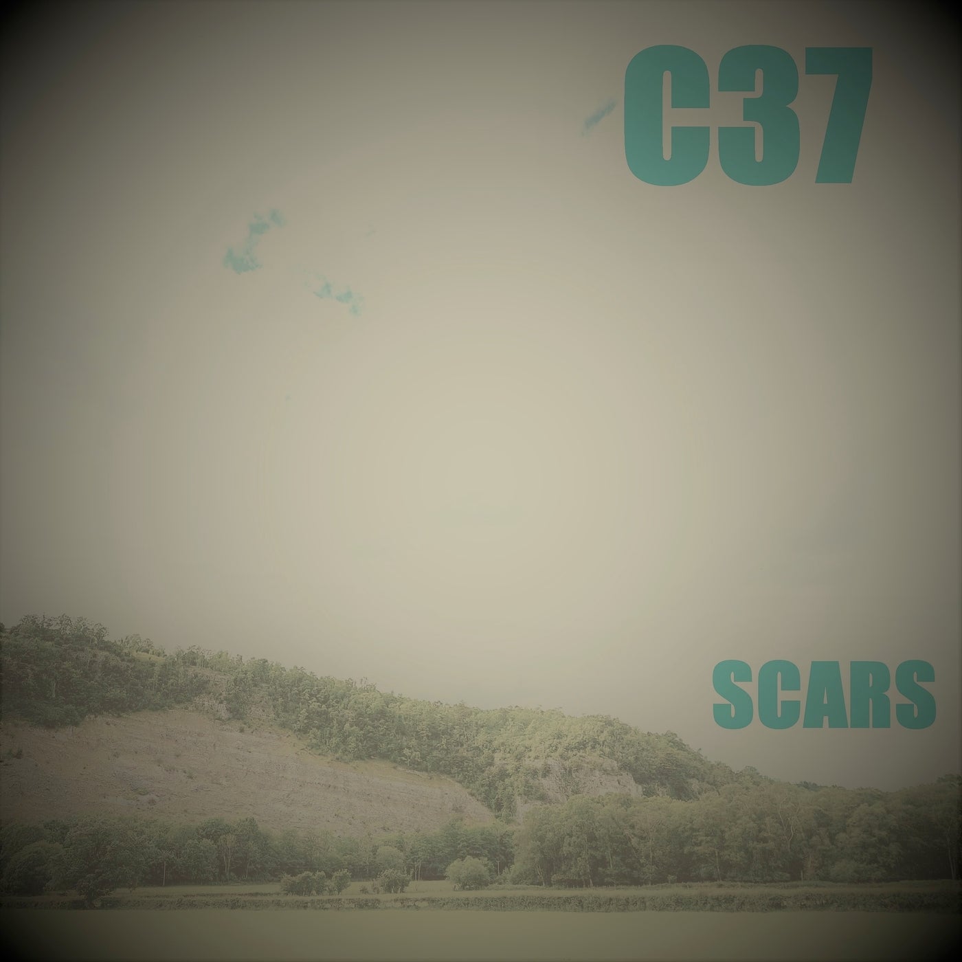 Scars