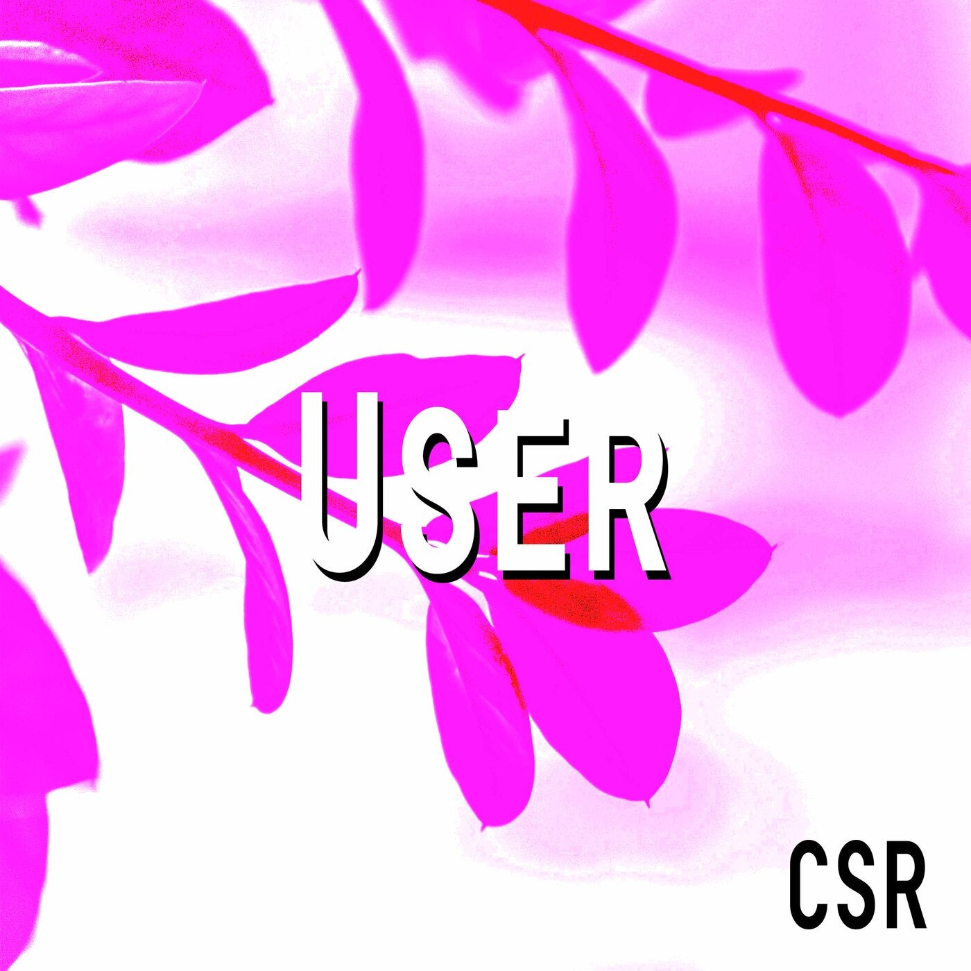 User